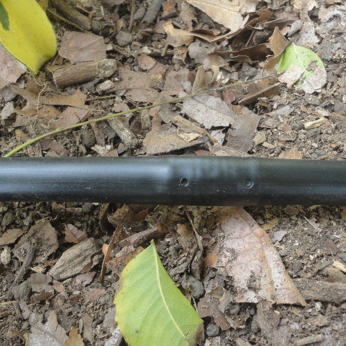 RIEGO LIBERTAD PROYECTO REDROVAN COLONCHE PALMAR BARANDUA SANTA ELENA SALINAS CULTIVO AGRICULTOR