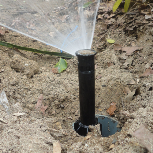 RIEGO LIBERTAD PROYECTO REDROVAN COLONCHE PALMAR BARANDUA SANTA ELENA SALINAS CULTIVO AGRICULTOR