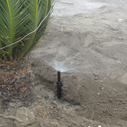 RIEGO LIBERTAD PROYECTO REDROVAN COLONCHE PALMAR BARANDUA SANTA ELENA SALINAS CULTIVO AGRICULTOR