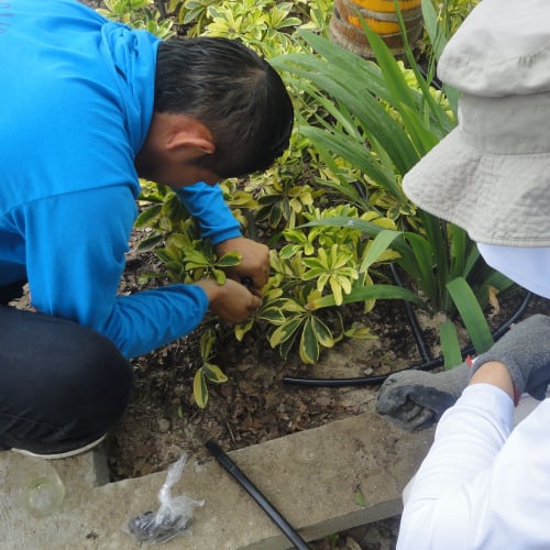 RIEGO LIBERTAD PROYECTO REDROVAN COLONCHE PALMAR BARANDUA SANTA ELENA SALINAS CULTIVO AGRICULTOR