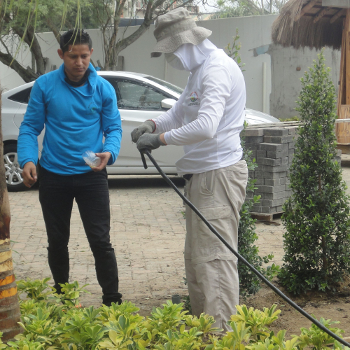 RIEGO LIBERTAD PROYECTO REDROVAN COLONCHE PALMAR BARANDUA SANTA ELENA SALINAS CULTIVO AGRICULTOR