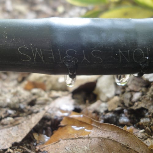 RIEGO LIBERTAD PROYECTO REDROVAN COLONCHE PALMAR BARANDUA SANTA ELENA SALINAS CULTIVO AGRICULTOR