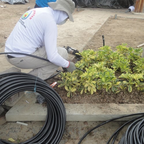 RIEGO LIBERTAD PROYECTO REDROVAN COLONCHE PALMAR BARANDUA SANTA ELENA SALINAS CULTIVO AGRICULTOR