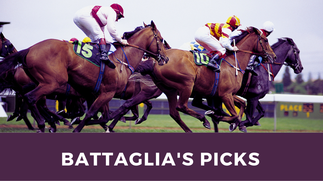 New Home Page Tampa Bay Downs Picks