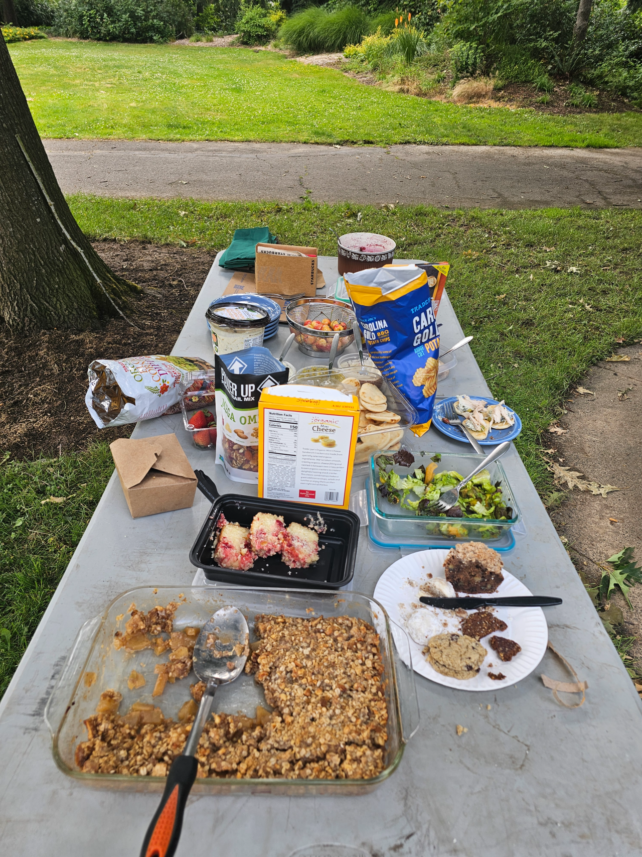 You see on this grey picnic table in the park a spread of home-made, farmers-market and store-bought goods which everyone was able to select their favorites from. Apple Crumble anyone?