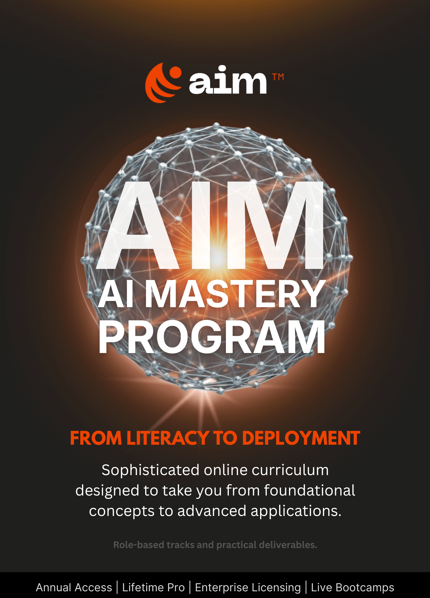AIM Learning Experience