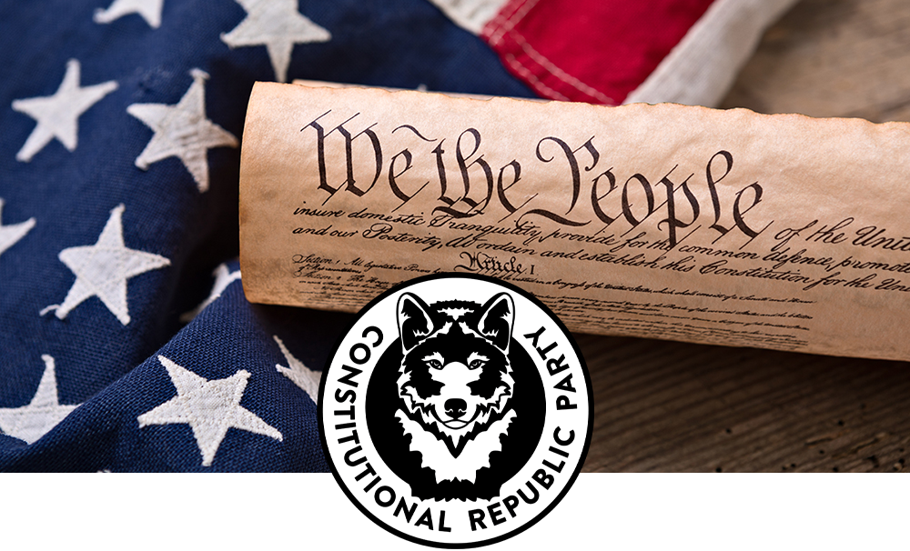 US Constitution We The People Flag