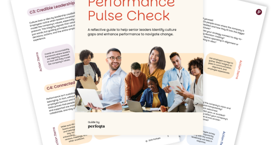 Performance Pulse Check: A reflective guide to help senior leaders ...