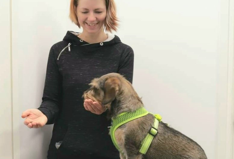 Vuosi sitten meinasin jättää eläinalan. Onneksi en!