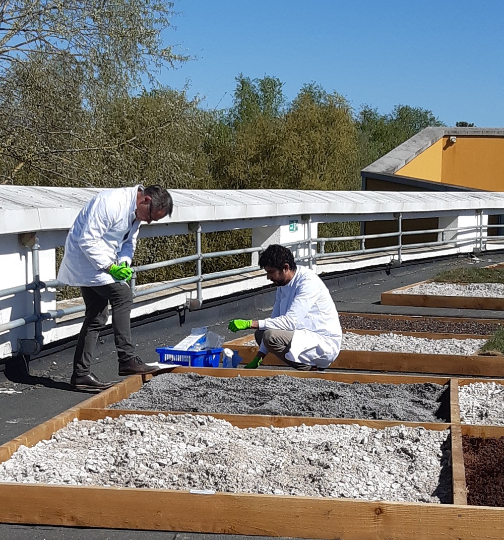 Person watching OpenDoor Live