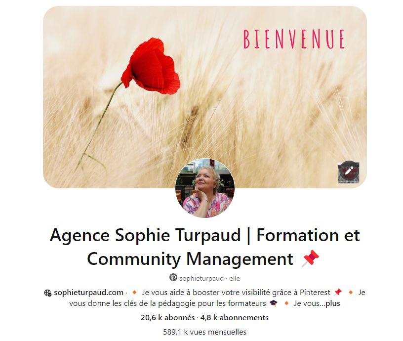 Masterclass Pinterest mes 7 secrets pour faites briller votre compte ...