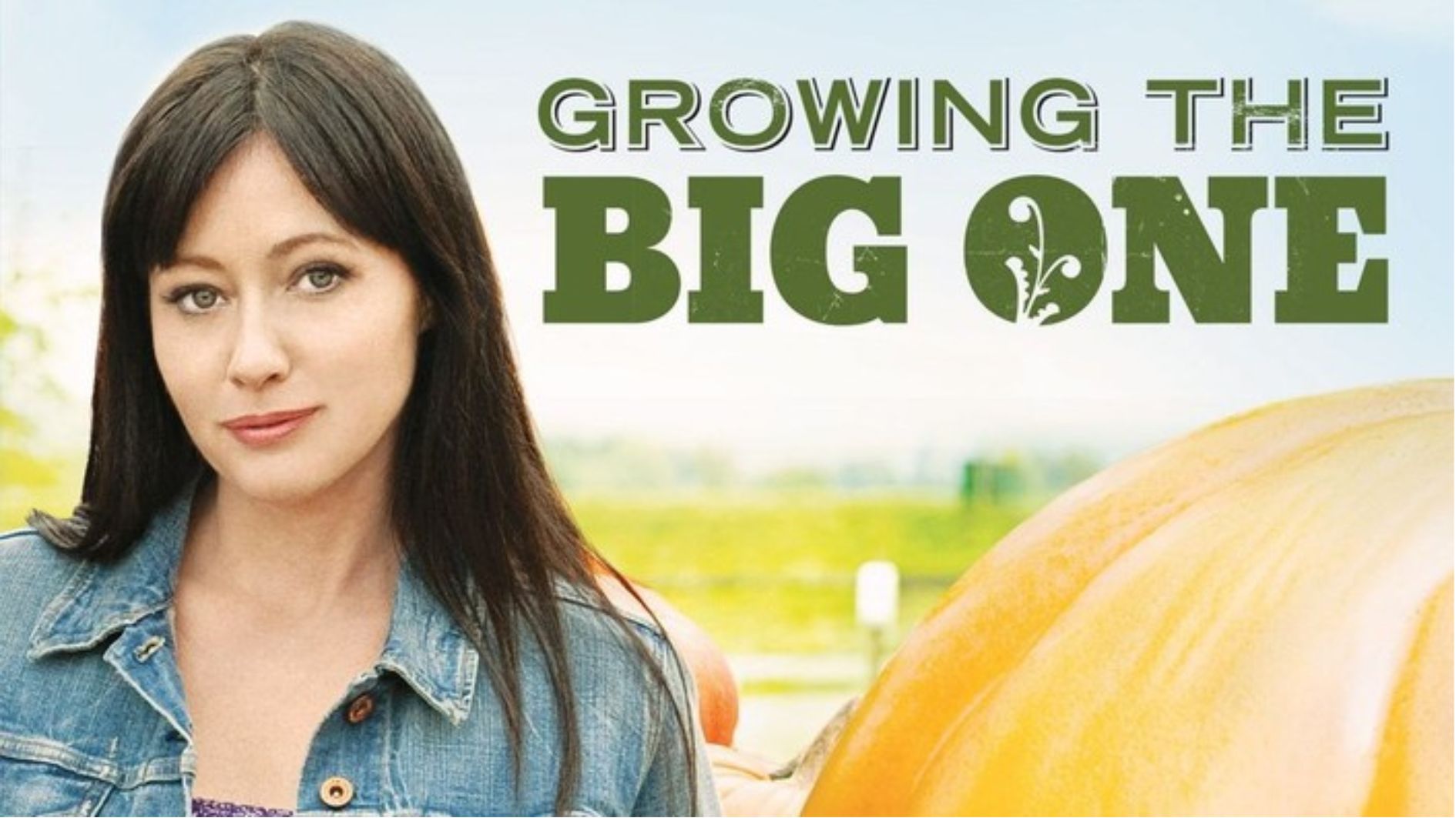 Growing the Big One: What Are They Doing to Those Pumpkins?