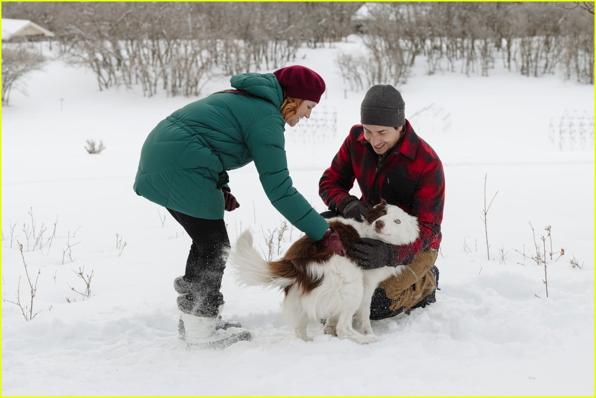 Image from Christmas With the Campbells