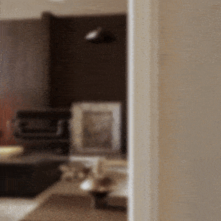 Ekskluzywna biblioteka modeli 3D do SketchUpa i V-Raya