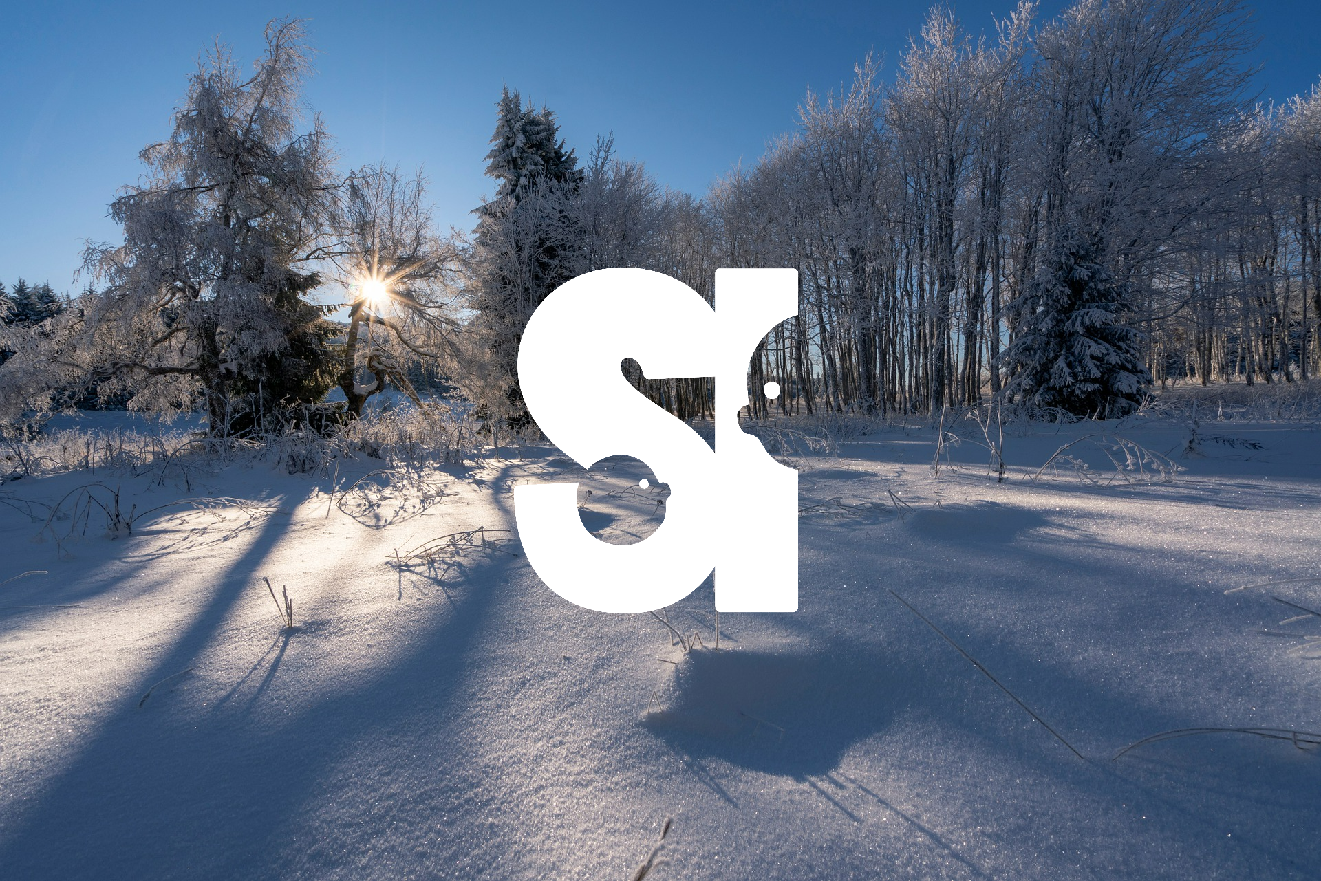 A snow covered landscape with trees and the sun through the trees. The SI of Simple Interactions is in the center.
