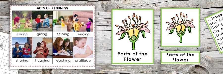 snowflake early learning printables