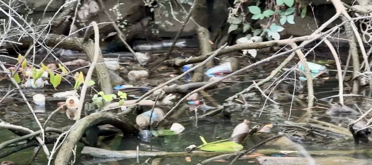 Close up photo of bottles in Anacostia River