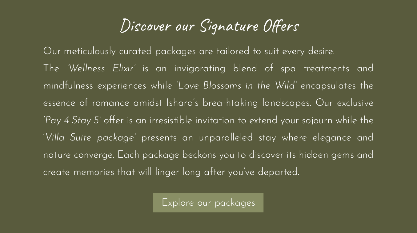 Explore our packages