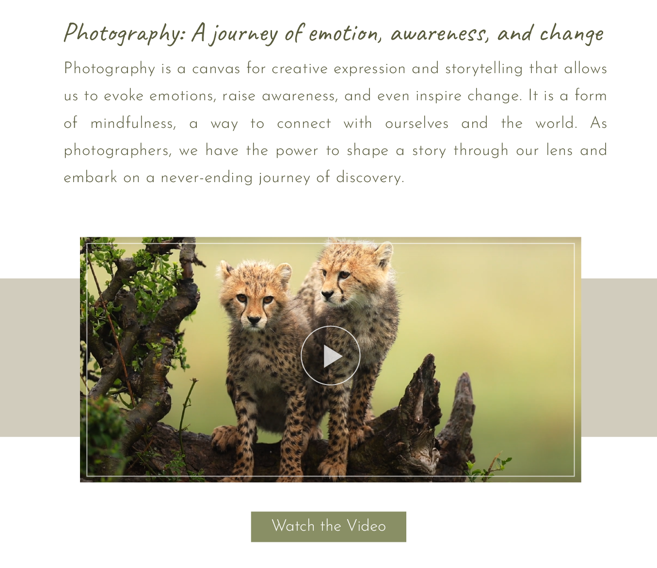 Photography: A journey of emotion, awareness, and change