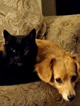 Nottina and Oscar Feeling Safe