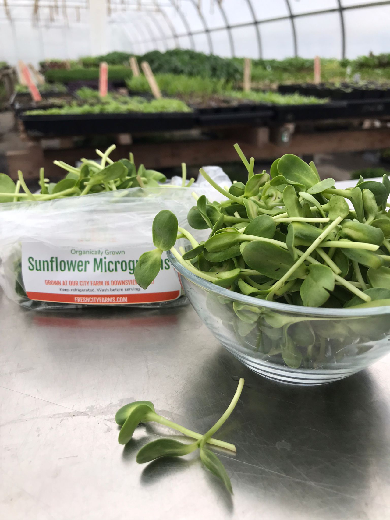 Meet Fresh City's urban farm! Mama Earth Organics