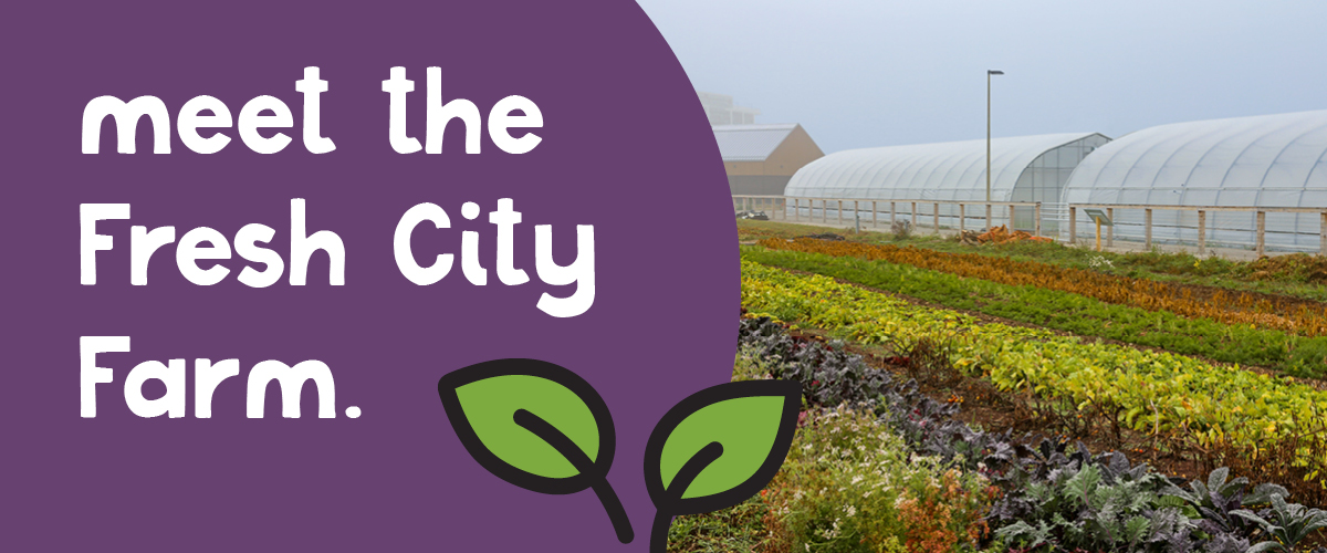 Meet Fresh City's urban farm! Mama Earth Organics