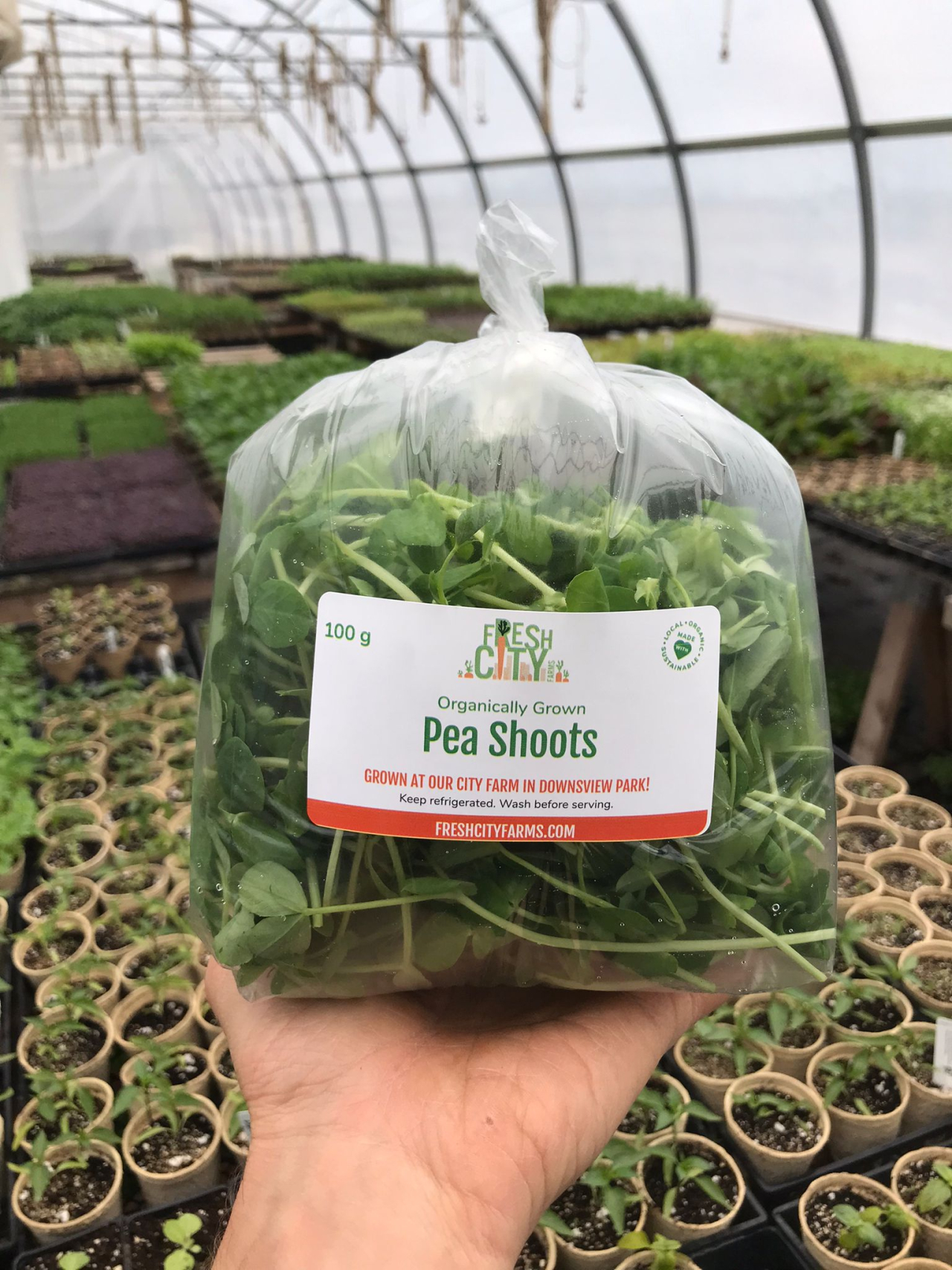 Meet Fresh City's urban farm! Mama Earth Organics