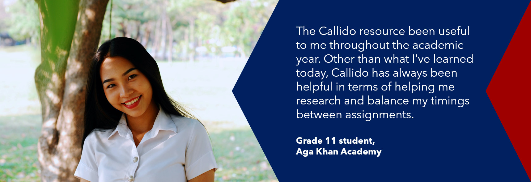 Critical thinking diploma image