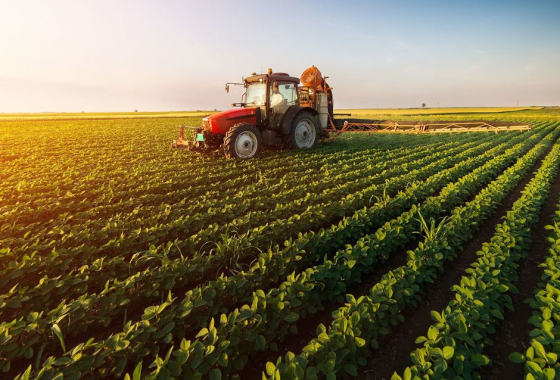 Egyre több kedvezményes hiteltermék érhető el agrárvállalkozások számára