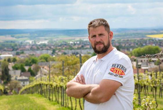 A borászok kreativitása most mutatkozik meg