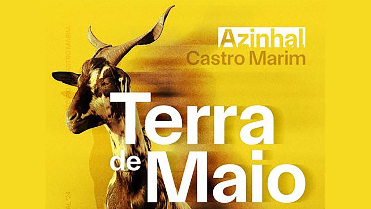 Imagem identificada no conteúdo da notícia (clike para ver)