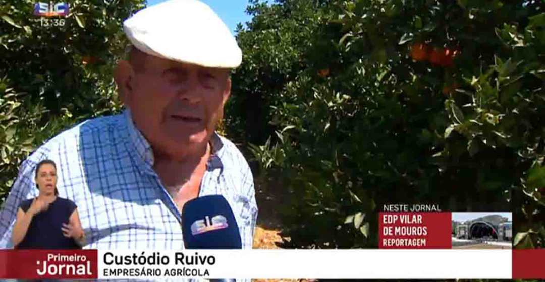 Imagem SIC, Primeiro Jornal