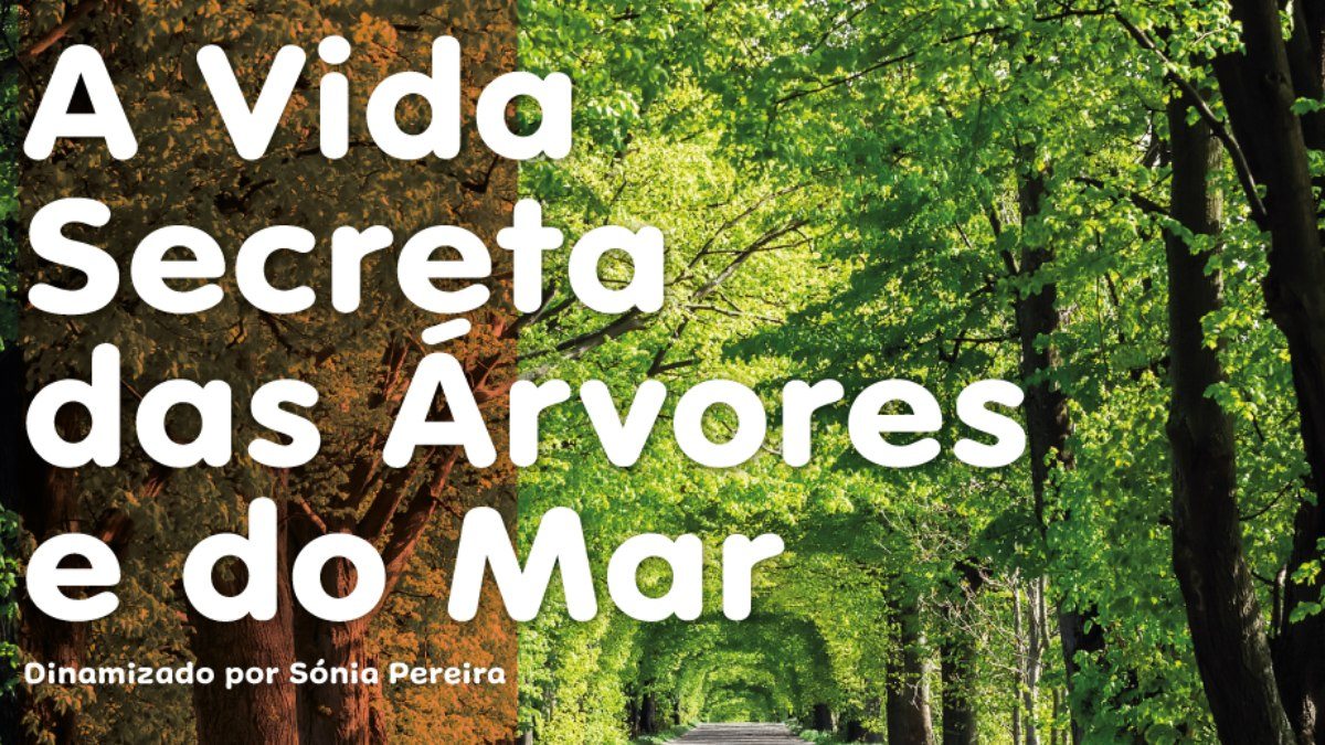 Imagem de ilustração de acordo com a informação em apreço