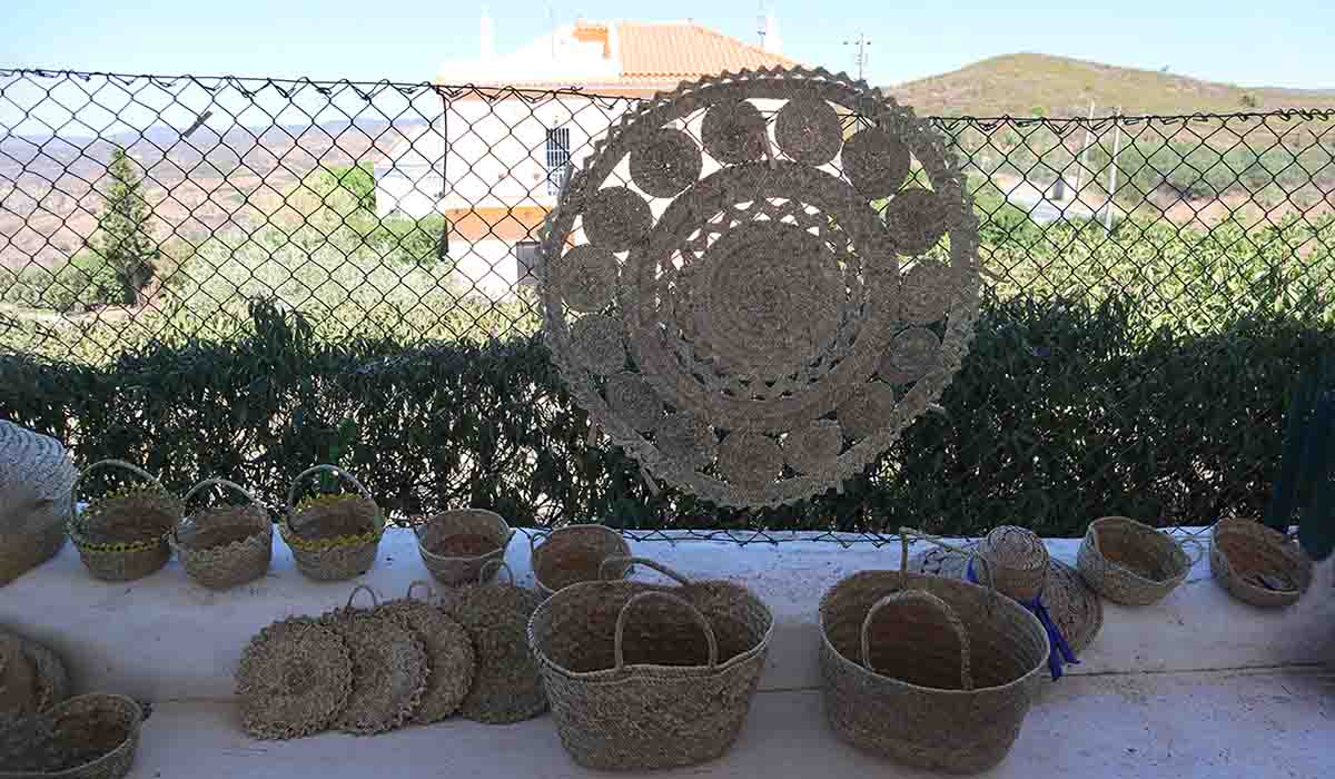 Imagem identificada no conteúdo da notícia (clike para ver)