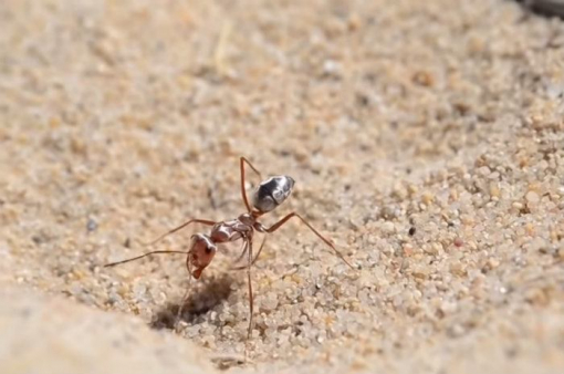 Payer pour ne pas avoir de voisin dans l’avion ? C’est possible !