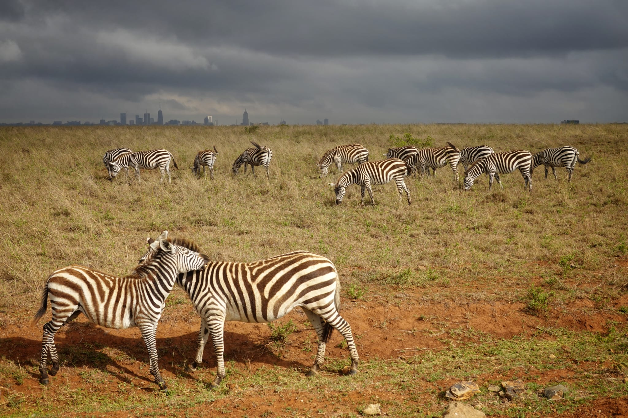 TRAVEL NEWS #24 - JANUARY 2023